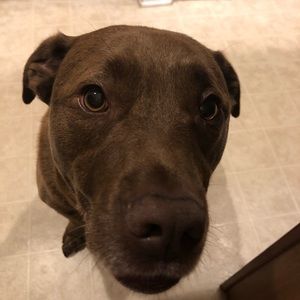 Meet your Posher, Jean